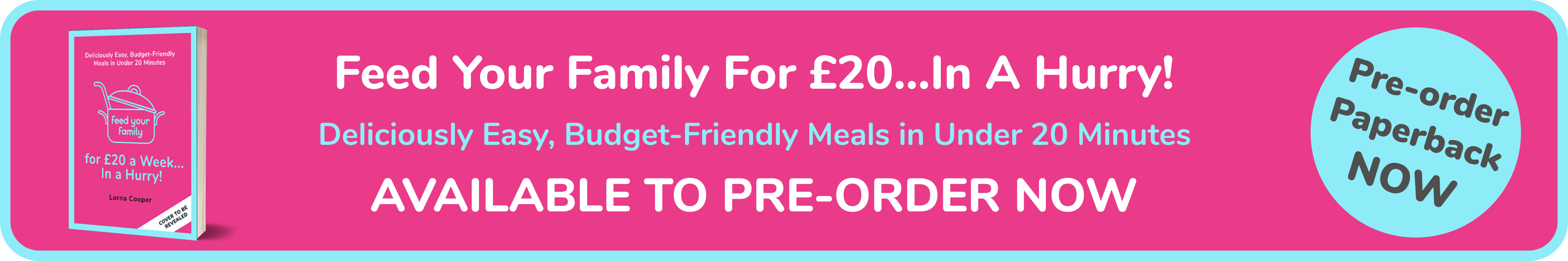 Feed Your Family For £20...In A Hurry! The Cookbook